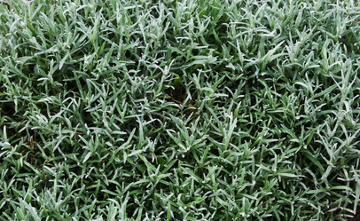 Similar image 211000