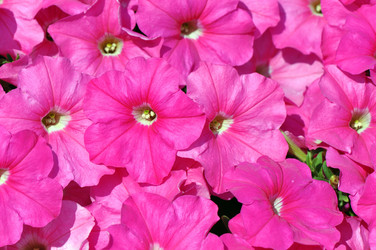 Similar image 211001