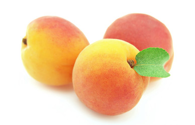 Similar image 211044