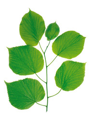 Similar image 211049