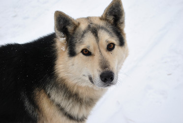 Similar image 211053