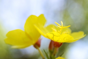 Similar image 211060