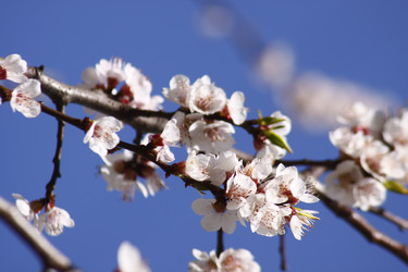 Similar image 211097