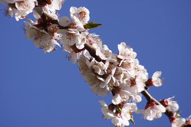 Similar image 211107