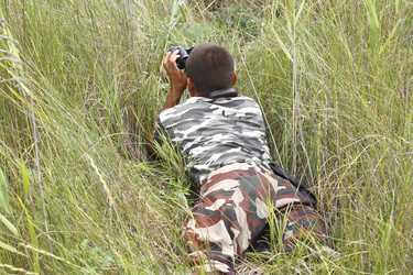 Similar image 211184