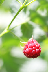 Similar image 211228