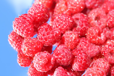 Similar image 211229