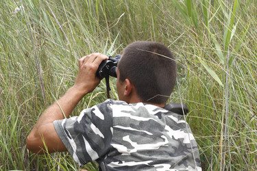 Similar image 211251