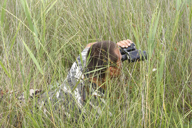 Similar image 211257