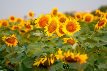 Similar image 211265