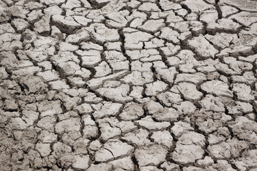 Similar image 211275