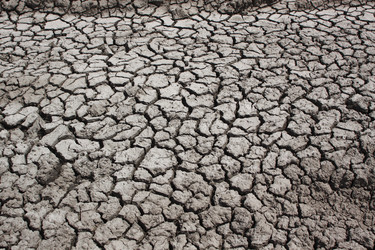 Similar image 211277