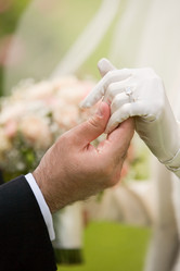 Similar image 211294