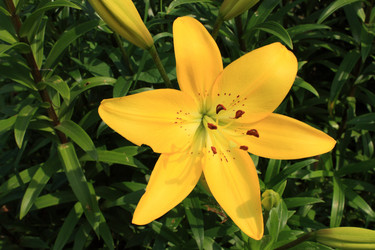 Similar image 211295