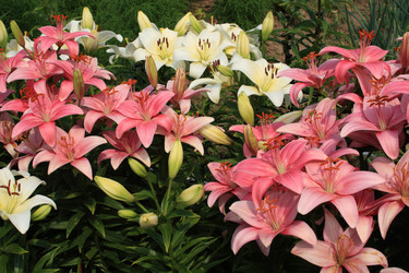 Similar image 211302