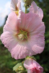 Similar image 211306