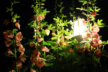 Similar image 211309