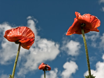 Similar image 211314