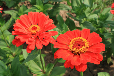 Similar image 211316