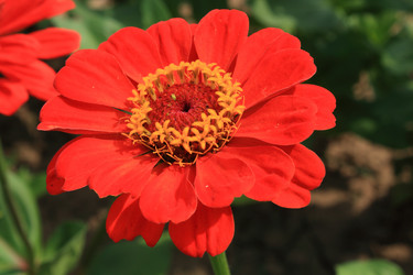 Similar image 211319