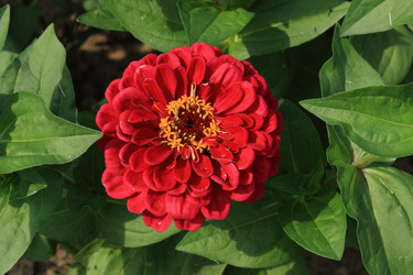 Similar image 211320