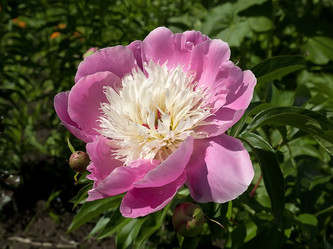 Similar image 211338