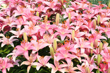 Similar image 211352