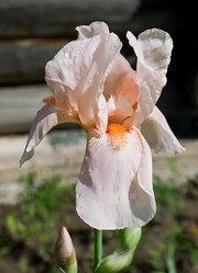 Similar image 211372