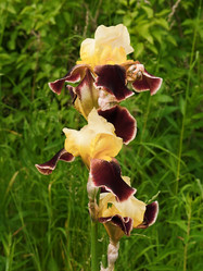 Similar image 211378