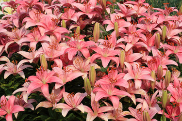 Similar image 211384