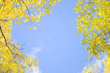 Similar image 211411