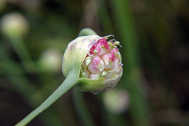 Similar image 211415