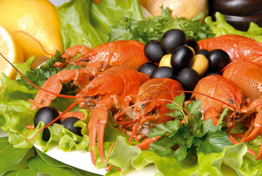 Similar image 211433