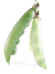 Similar image 211464