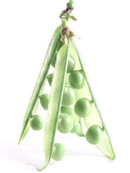 Similar image 211466