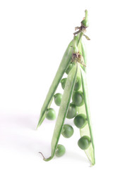 Similar image 211467