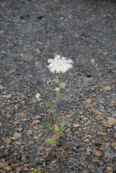 Similar image 211511