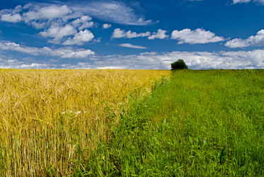 Similar image 211544