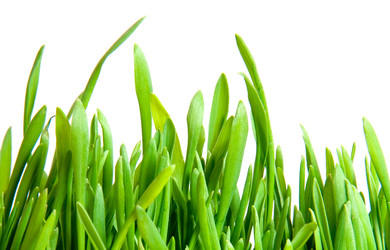 Similar image 211588