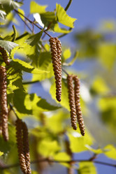 Similar image 211591