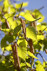 Similar image 211592