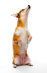 Similar image 211617