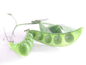 Similar image 211620