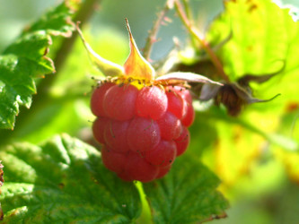 Similar image 211662