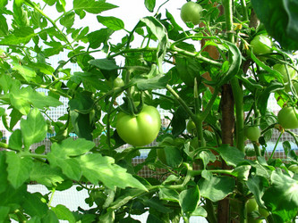 Similar image 211671