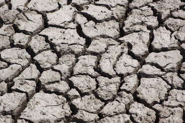 Similar image 211685