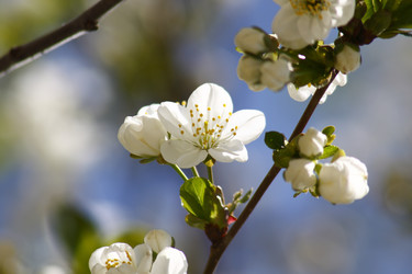 Similar image 211691