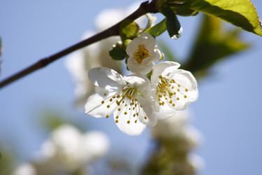 Similar image 211692