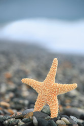 Similar image 211719