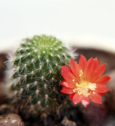 Similar image 211734